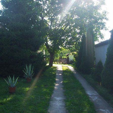 Nagy Haz Apartment Szabadkígyós Exterior foto
