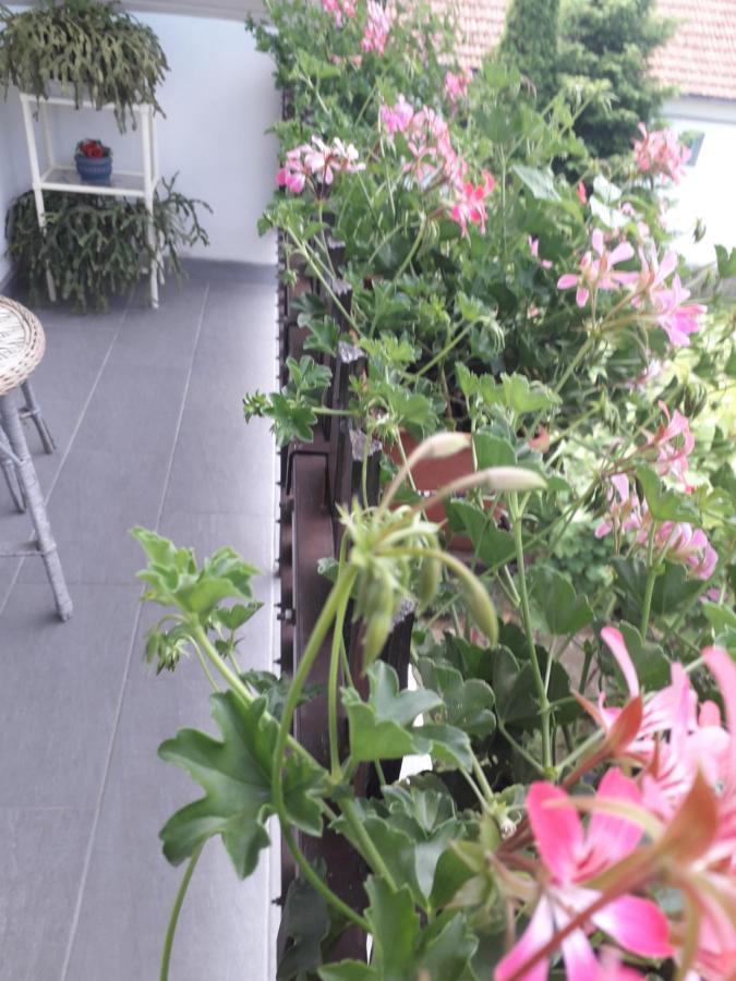 Nagy Haz Apartment Szabadkígyós Exterior foto
