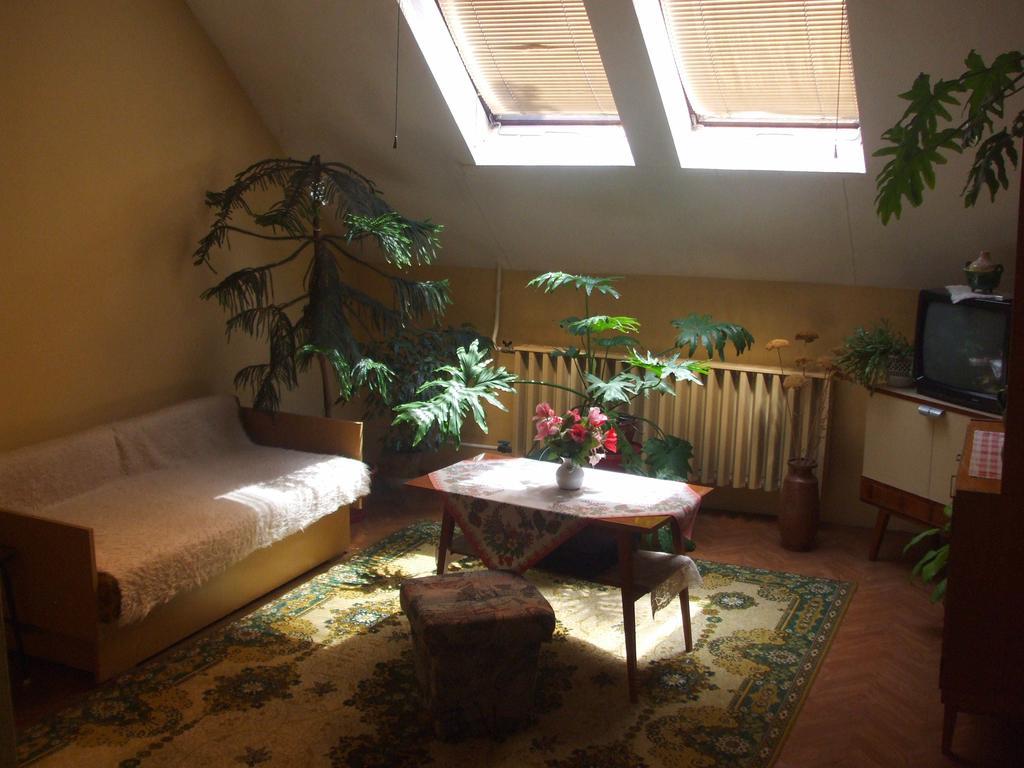 Nagy Haz Apartment Szabadkígyós Cameră foto