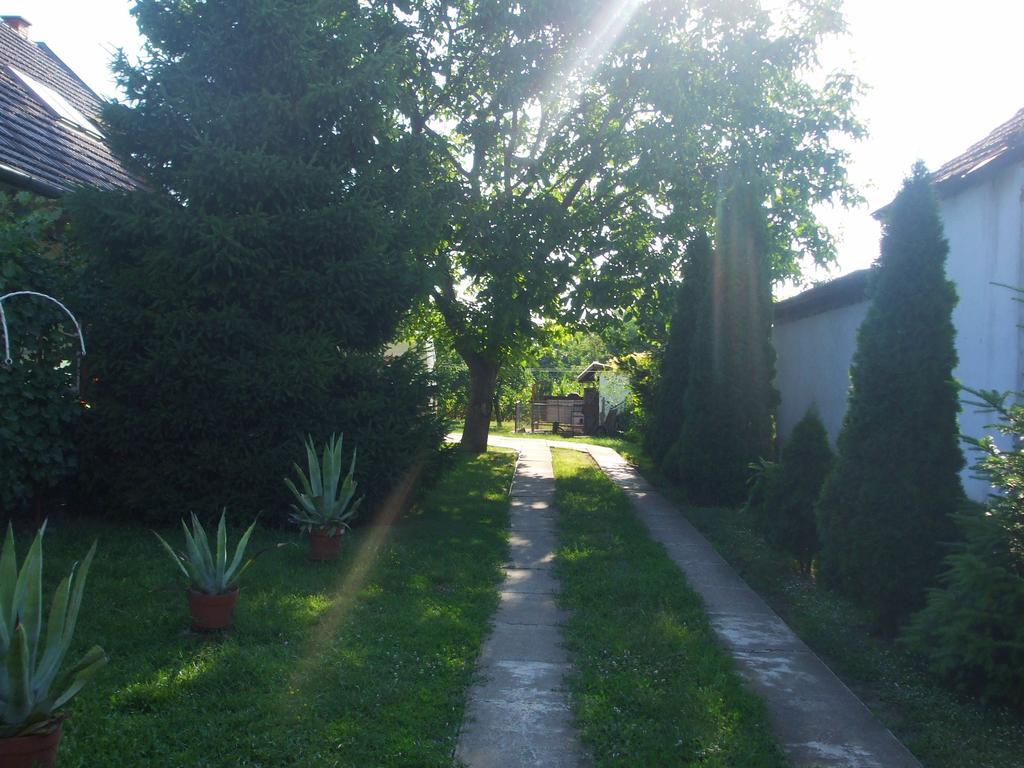 Nagy Haz Apartment Szabadkígyós Exterior foto